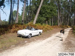 [img_mini]50b32bdeca.jpg[/img_mini]