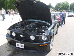 [img_mini]53fb098ba6.jpg[/img_mini]