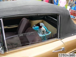[img_mini]554591e7c0.jpg[/img_mini]