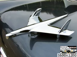 [img_mini]56a42c7608.jpg[/img_mini]