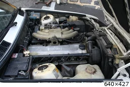 [img_mini]586d7bad66.jpg[/img_mini]