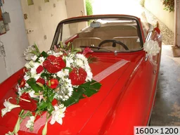 [img_mini]59ea6775ee.jpg[/img_mini]