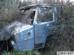 [img_mini]5cc1c17368.jpg[/img_mini]