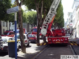 [img_mini]5de6813a88.jpg[/img_mini]