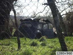 [img_mini]64111ee8a9.jpg[/img_mini]