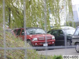 [img_mini]657b3f4297.jpg[/img_mini]