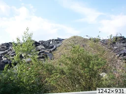 [img_mini]68526e3c73.jpg[/img_mini]
