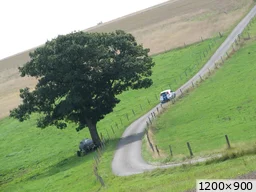 [img_mini]69e364e752.jpg[/img_mini]