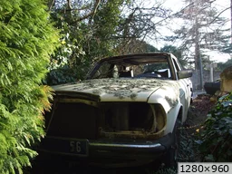 [img_mini]6ba5319015.jpg[/img_mini]