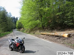 [img_mini]71747a2e99.jpg[/img_mini]