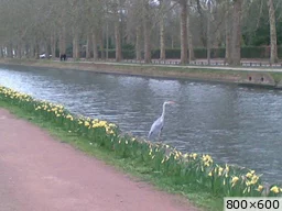 [img_mini]74cbc7c654.jpg[/img_mini]