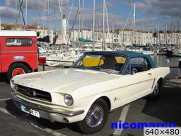 [img_mini]76960e650d.jpg[/img_mini]
