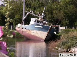 [img_mini]77d8e241e1.jpg[/img_mini]