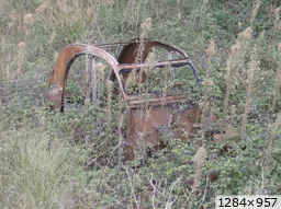 [img_mini]77dcfbf29f.jpg[/img_mini]
