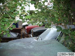 [img_mini]7a5e99f151.jpg[/img_mini]