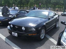 [img_mini]7ccc23c619.jpg[/img_mini]