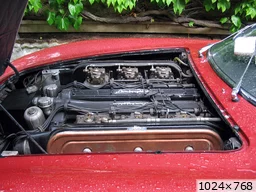 [img_mini]7e0559520b.jpg[/img_mini]