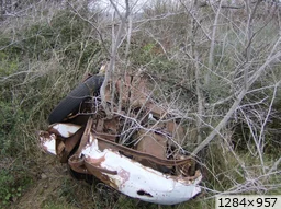 [img_mini]838d89ecd3.jpg[/img_mini]