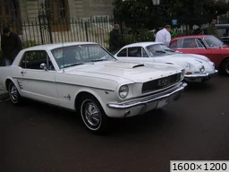 [img_mini]84bb3ff4f2.jpg[/img_mini]
