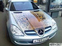 [img_mini]87796a3f09.jpg[/img_mini]