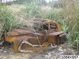 [img_mini]87a1f793ee.jpg[/img_mini]