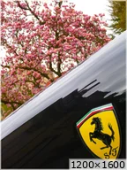 [img_mini]891f610c17.jpg[/img_mini]
