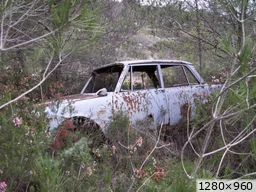 [img_mini]8bd6494c33.jpg[/img_mini]