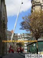 [img_mini]91d7d283cf.jpg[/img_mini]