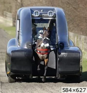 [img_mini]970e1c9f6a.jpg[/img_mini]