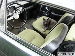 [img_mini]99721141d8.jpg[/img_mini]