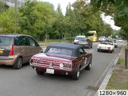[img_mini]9b24eed888.jpg[/img_mini]