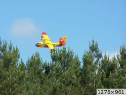 [img_mini]9b7cfe0504.jpg[/img_mini]
