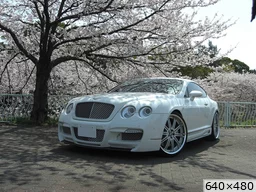 [img_mini]9b90cb6d39.jpg[/img_mini]