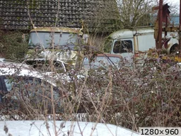 [img_mini]a08880afc0.jpg[/img_mini]