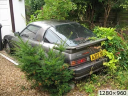 [img_mini]a31999d2d3.jpg[/img_mini]