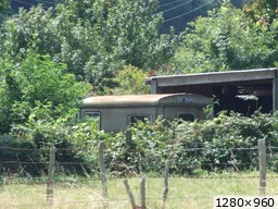 [img_mini]a31bea2b18.jpg[/img_mini]