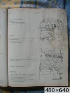 [img_mini]a678230cca.jpg[/img_mini]