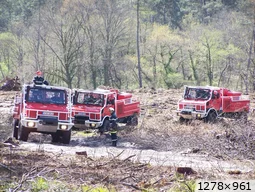[img_mini]a69b4a556b.jpg[/img_mini]