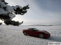 [img_mini]a6eef99029.jpg[/img_mini]