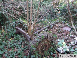 [img_mini]a8945b6fe1.jpg[/img_mini]