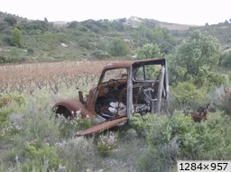 [img_mini]aad39d6528.jpg[/img_mini]