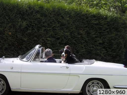 [img_mini]ac9fbd3771.jpg[/img_mini]