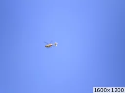 [img_mini]acdebaf397.jpg[/img_mini]