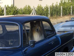 [img_mini]aec27c0663.jpg[/img_mini]