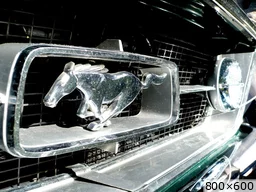 [img_mini]b1c5436ed9.jpg[/img_mini]