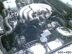 [img_mini]b3ccdc41cd.jpg[/img_mini]
