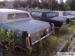[img_mini]b5f4c01507.jpg[/img_mini]