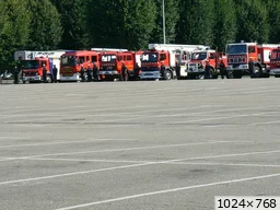 [img_mini]b65cd2ef84.jpg[/img_mini]