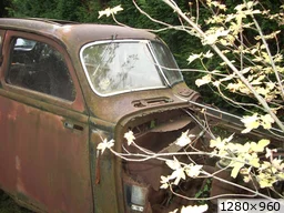 [img_mini]b76a3e0f4e.jpg[/img_mini]