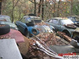 [img_mini]b8707de708.jpg[/img_mini]